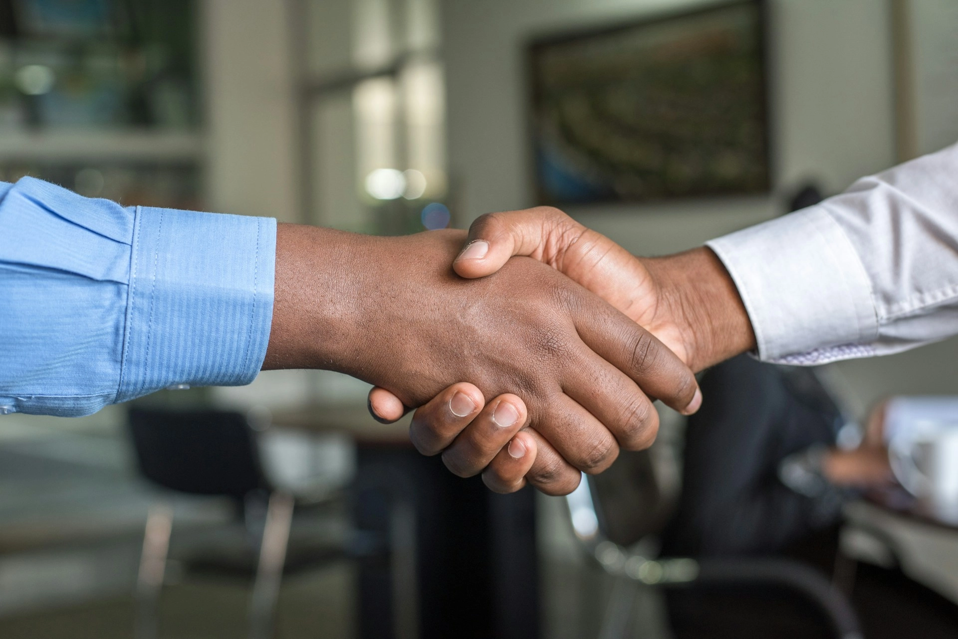 Tela Group | Career