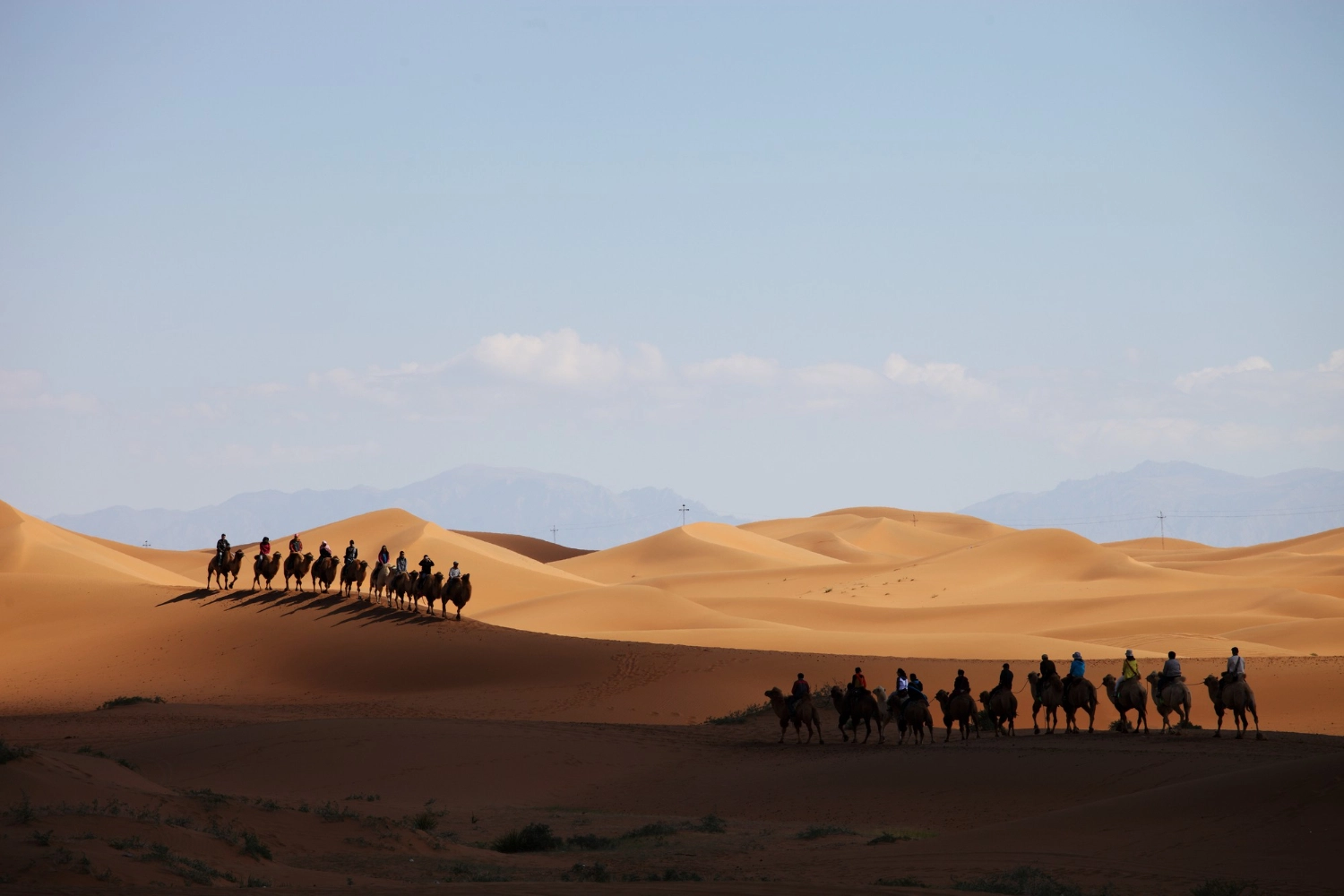 Tela Group | Tourism